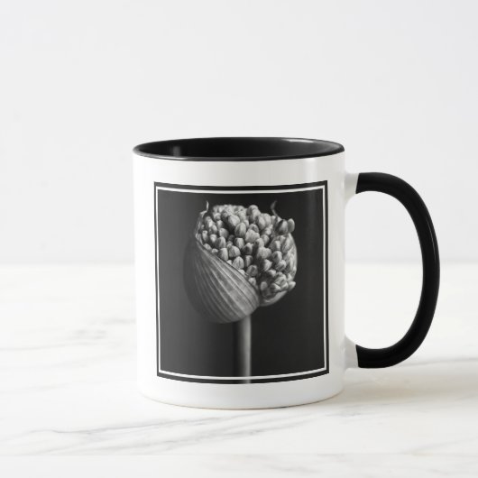 Bloemen | B&W Allium Flower Bud Mok (Rechts)