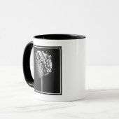 Bloemen | B&W Allium Flower Bud Mok (Voorkant links)