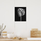 Bloemen | B&W Allium Flower Bud Poster (Keuken)
