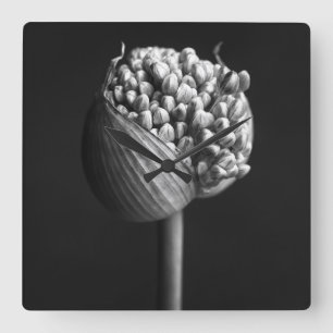 Bloemen   B&W Allium Flower Bud Vierkante Klok