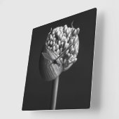 Bloemen | B&W Allium Flower Bud Vierkante Klok (Hoek)