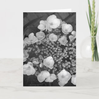 Bloemen B&W Kaart