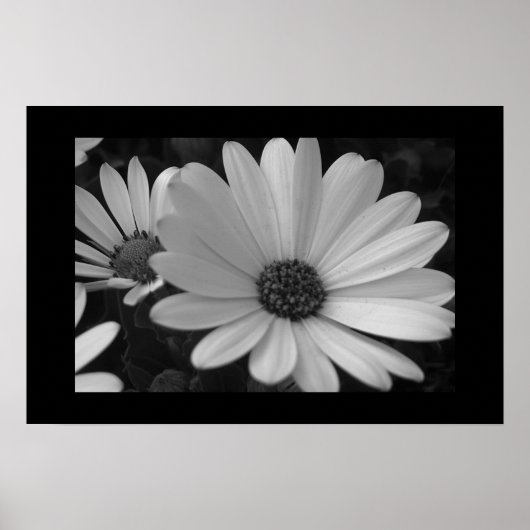 Bloemen B&W Poster (Voorkant)