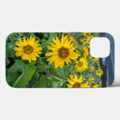 Bloemen | Balsomroot Columbia River, Oregon Case-Mate iPhone Case (Achterkant (horizontaal))