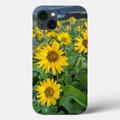 Bloemen | Balsomroot Columbia River, Oregon Case-Mate iPhone Case (Achterkant)