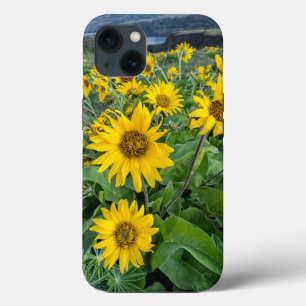 Bloemen Balsomroot Columbia River, Oregon Case-Mate iPhone Case