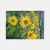 Bloemen | Balsomroot Columbia River, Oregon Fleece Deken (Voorkant (Horizontaal))