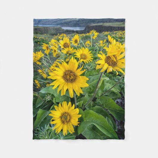 Bloemen | Balsomroot Columbia River, Oregon Fleece Deken (Voorkant)