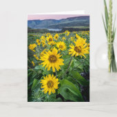 Bloemen | Balsomroot Columbia River, Oregon Kaart (Voorkant)