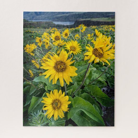 Bloemen | Balsomroot Columbia River, Oregon Legpuzzel (Verticaal)