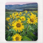 Bloemen | Balsomroot Columbia River, Oregon Muismat (Voorkant)