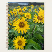 Bloemen | Balsomroot Columbia River, Oregon Planner (Voorkant)