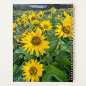 Bloemen | Balsomroot Columbia River, Oregon Planner (Achterkant)