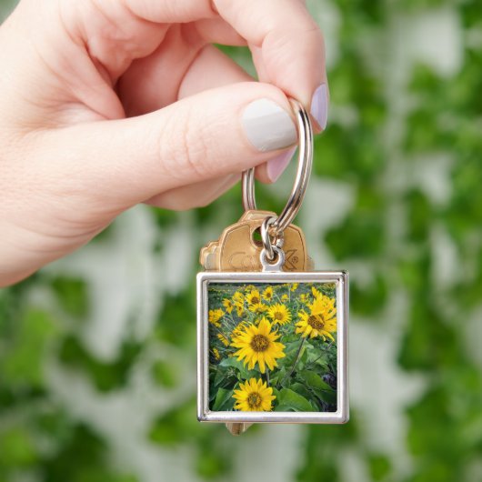 Bloemen | Balsomroot Columbia River, Oregon Sleutelhanger (Hand)