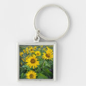 Bloemen | Balsomroot Columbia River, Oregon Sleutelhanger (Voorkant)