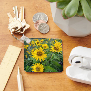 Bloemen Balsomroot Columbia River, Oregon Sleutelhanger