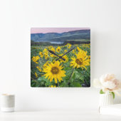 Bloemen | Balsomroot Columbia River, Oregon Vierkante Klok (Huis)