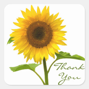Bloemen Bedankt Geel & Groen Zonnebloem Bloem Vierkante Sticker