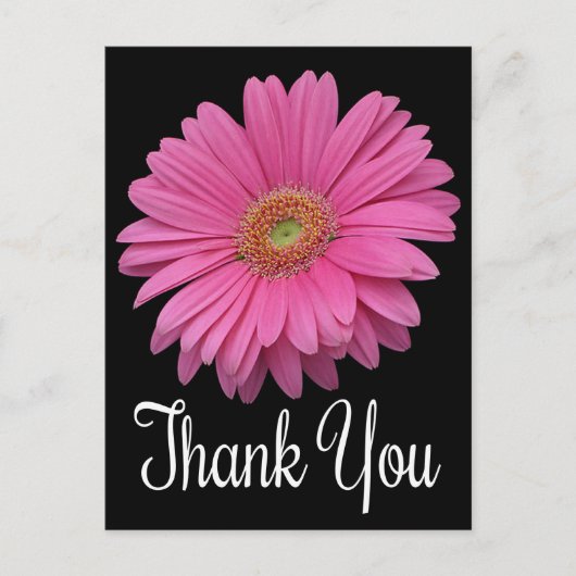 Bloemen Bedankt Pink Gerbera Daisy Flower Black Briefkaart (Voorkant)