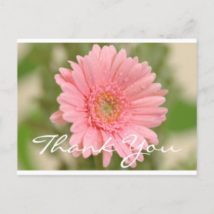 Bloemen Bedankt Pink Gerbera Daisy Flower Briefkaart