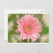 Bloemen Bedankt Pink Gerbera Daisy Flower Briefkaart (Voorkant / Achterkant)