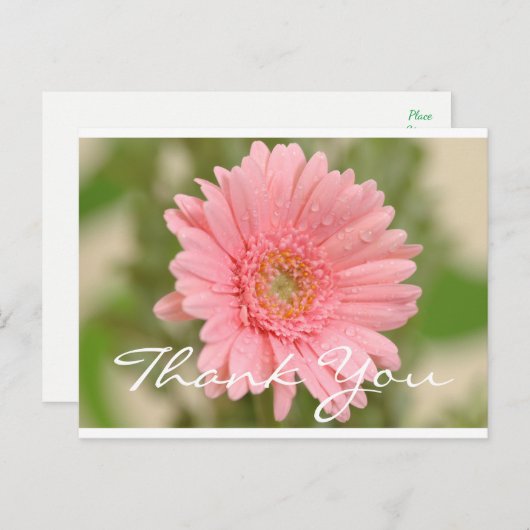 Bloemen Bedankt Pink Gerbera Daisy Flower Briefkaart (Voorkant / Achterkant)