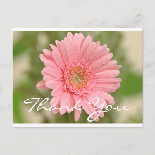Bloemen Bedankt Pink Gerbera Daisy Flower Briefkaart (Voorkant)