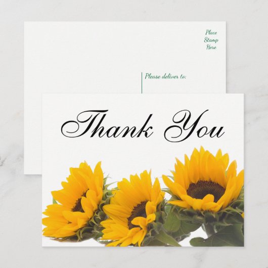 Bloemen Bedankt Zonnebloem Geel Groene Bloemen Briefkaart (Voorkant / Achterkant)
