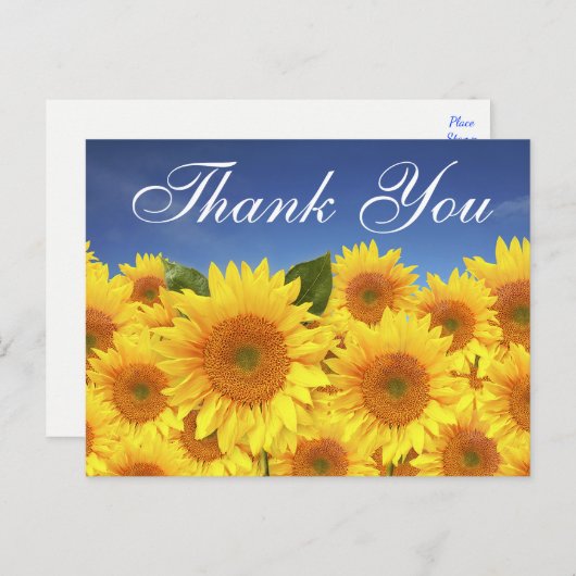 Bloemen Bedankt Zonnebloemen Geel Blauw Bloemen Briefkaart (Voorkant / Achterkant)