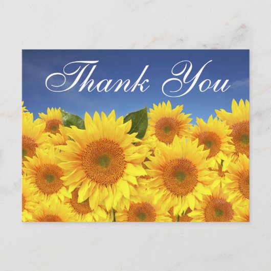 Bloemen Bedankt Zonnebloemen Geel Blauw Bloemen Briefkaart (Voorkant)