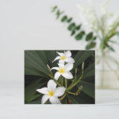 Bloemen - Bellingrath Botanische tuinen Briefkaart (Staand voorkant)