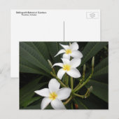 Bloemen - Bellingrath Botanische tuinen Briefkaart (Voorkant / Achterkant)