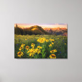 Bloemen | Bergbeemdommen Butte Colorado Canvas Afdruk (Voorkant)