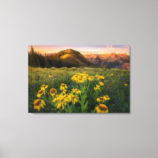 Bloemen | Bergbeemdommen Butte Colorado Canvas Afdruk (Voorkant)