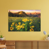 Bloemen | Bergbeemdommen Butte Colorado Canvas Afdruk (Insitu (Woonkamer))
