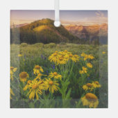 Bloemen | Bergbeemdommen Butte Colorado Glas Ornament (Voorkant)