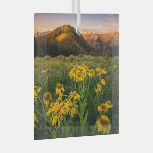 Bloemen | Bergbeemdommen Butte Colorado Glas Ornament (Voorkant Rechts)