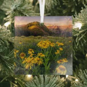 Bloemen   Bergbeemdommen Butte Colorado Glas Ornament