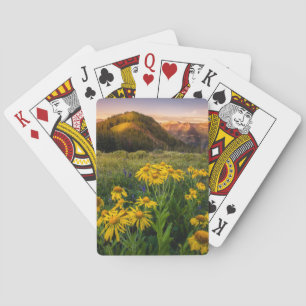 Bloemen Bergweide Crested Butte Colorado Pokerkaarten