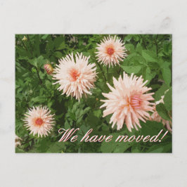 Bloemen bewegende briefkaarten met Chrysanthemum