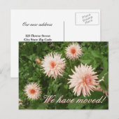Bloemen bewegende briefkaarten met Chrysanthemum (Voorkant / Achterkant)