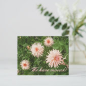 Bloemen bewegende briefkaarten met Chrysanthemum (Staand voorkant)