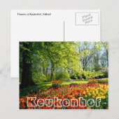 Bloemen bij Keukenhof, bomen en tulpen Briefkaart (Voorkant / Achterkant)