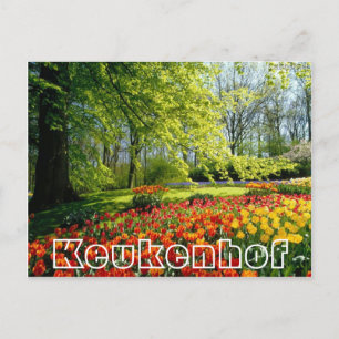 Bloemen bij Keukenhof, bomen en tulpen Briefkaart