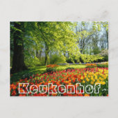 Bloemen bij Keukenhof, bomen en tulpen Briefkaart (Voorkant)
