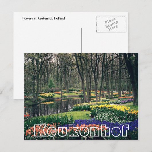 Bloemen bij Keukenhof, bos en kanaal Briefkaart (Voorkant / Achterkant)