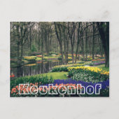 Bloemen bij Keukenhof, bos en kanaal Briefkaart (Voorkant)