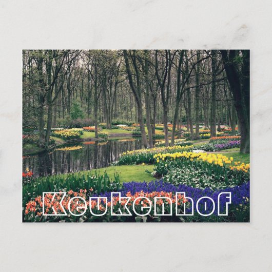 Bloemen bij Keukenhof, bos en kanaal Briefkaart (Voorkant)