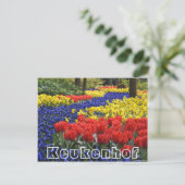 Bloemen bij Keukenhof, hyacinrhs en tumips Briefkaart (Staand voorkant)