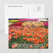 Bloemen bij Keukenhof, oranje, geel en rood Briefkaart (Voorkant / Achterkant)